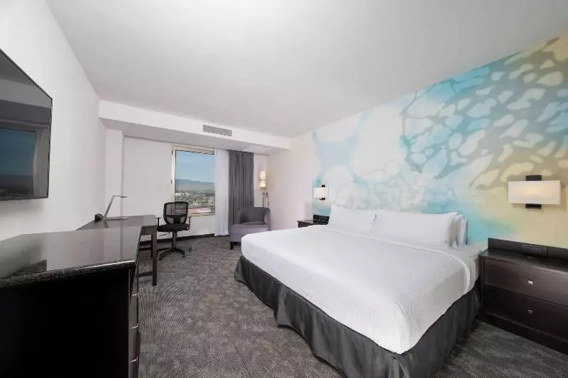 اتاق استاندارد با تخت بزرگ, Courtyard By Marriott San Luis Potosi