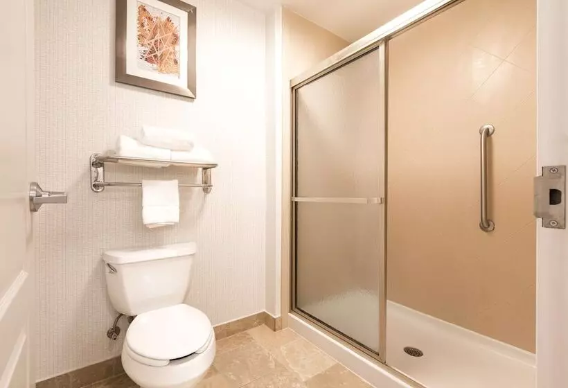 スイート, Homewood Suites By Hilton Greenville