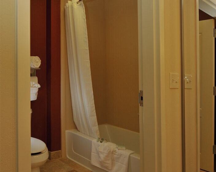 장애인을 위한 스위트, Homewood Suites By Hilton Greenville