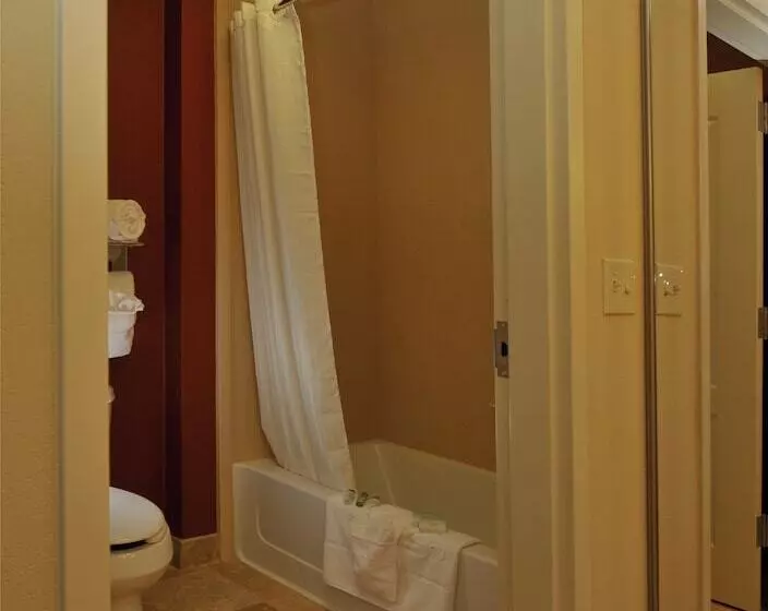 身障者適用スイートルーム, Homewood Suites By Hilton Greenville