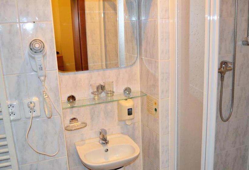 غرفة قياسية فردية, Palacky