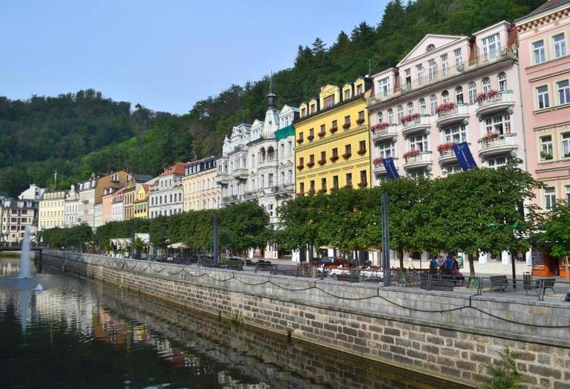 غرفة قياسية فردية, Palacky