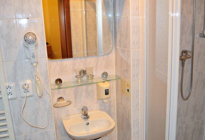 غرفة قياسية, Palacky