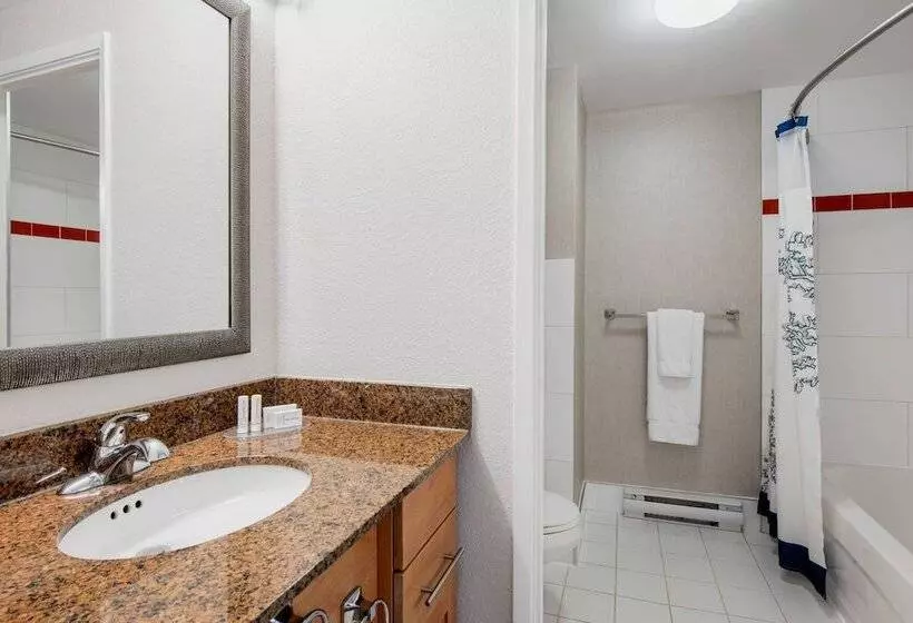 2 Bedroom Suite City View, Residence Inn By Marriott Kingston Water's Edge