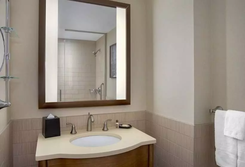 اتاق استاندارد با 2 تخت دوبل, Sheraton Tribeca New York
