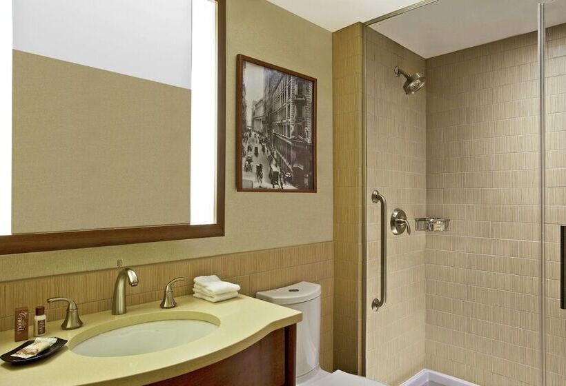 اتاق استاندارد با 2 تخت دوبل, Sheraton Tribeca New York