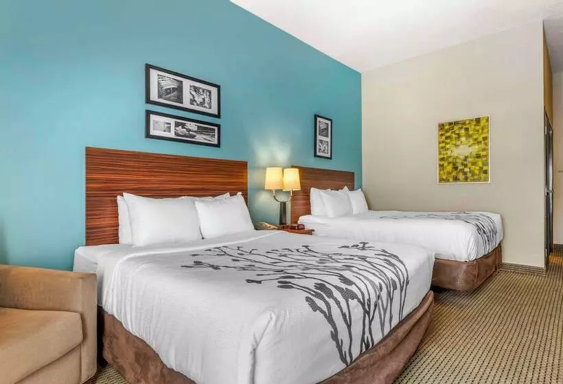 اتاق استاندارد با 2 تخت دوبل, Sleep Inn & Suites
