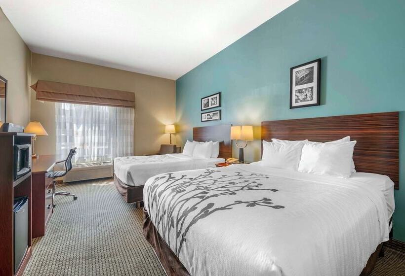Номер Стандарт 2 Двуспальные Кровати, Sleep Inn & Suites