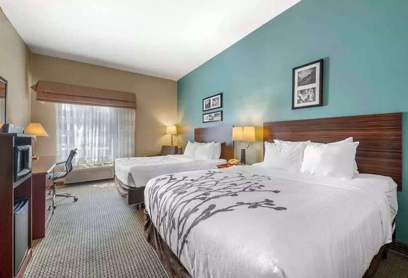 اتاق استاندارد با 2 تخت دوبل, Sleep Inn & Suites