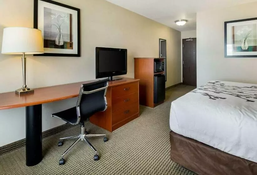 اتاق استاندارد با تخت بزرگ, Sleep Inn & Suites
