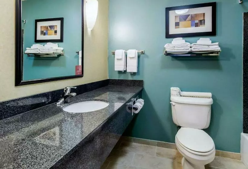 اتاق استاندارد با تخت بزرگ, Sleep Inn & Suites