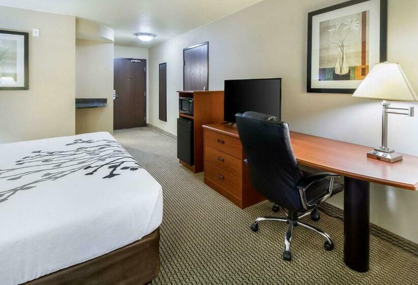 Quarto Deluxe Cama King, Sleep Inn & Suites