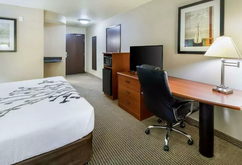 اتاق لوکس با تخت بزرگ, Sleep Inn & Suites