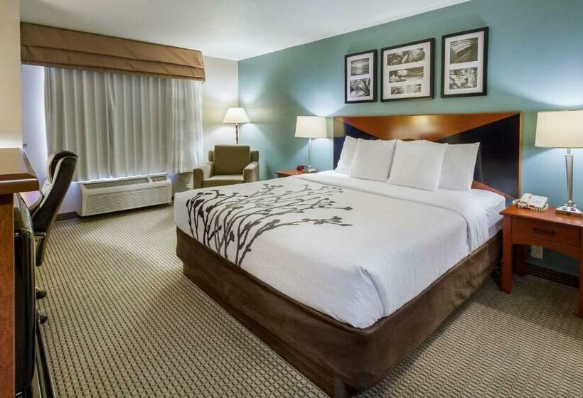 اتاق لوکس با تخت بزرگ, Sleep Inn & Suites