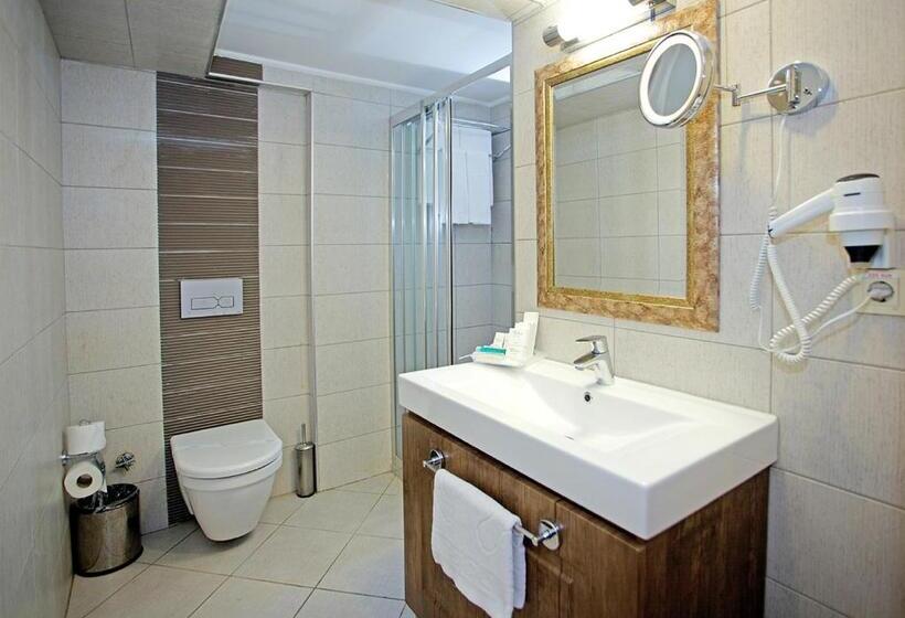 エコノミーシングルルーム, Tilia