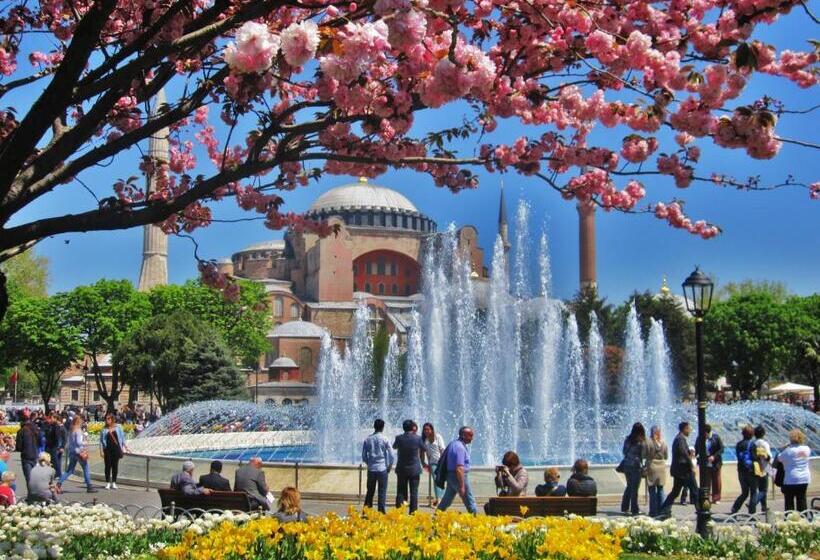 スタンダードルーム, May Hotel Istanbul