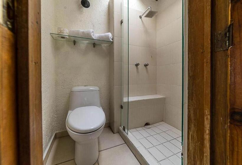 سوئیت 2 خوابه, Mesón De La Merced Hotel Boutique Patio & Spa