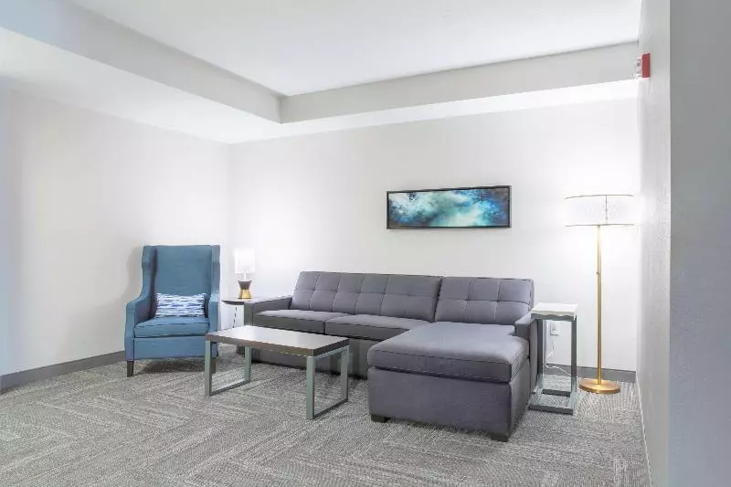 キングサイズベッドのジュニアスイート, Hilton Garden Inn Pittsburgh/southpointe