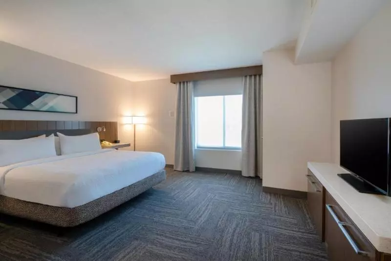 キングサイズベッドのジュニアスイート, Hilton Garden Inn Pittsburgh/southpointe