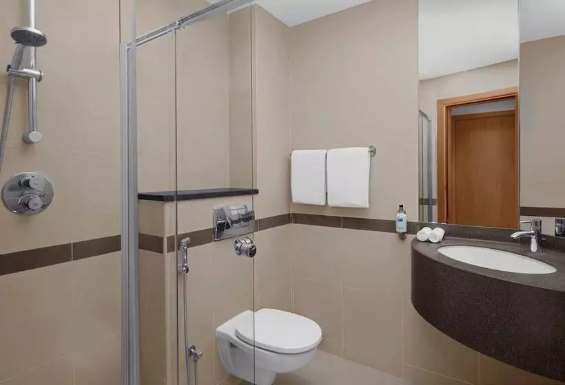 اتاق استاندارد, Holiday Inn Express Dubai Airport, An Ihg