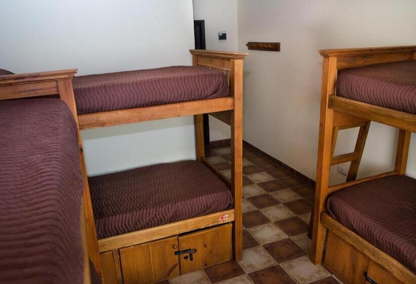 ルームシェアのワンベッド, Hostel Inn Calafate