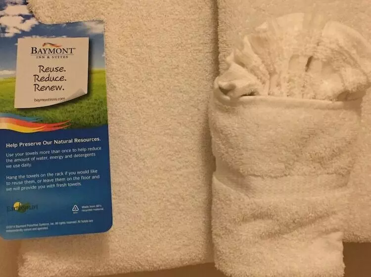 ２ダブルベッドのスタンダードルーム, Baymont By Wyndham Denver International Airport