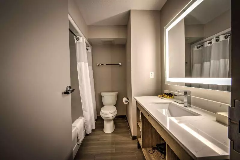 اتاق استاندارد با تخت دو نفره بزرگ, Best Western Plus Media Center Inn & Suites