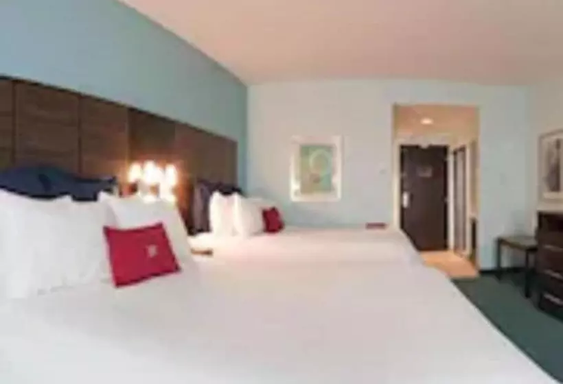 スタンダードルーム, Crowne Plaza Hotel & Resorts Fort Lauderdale Airport/ Cruise, An Ihg