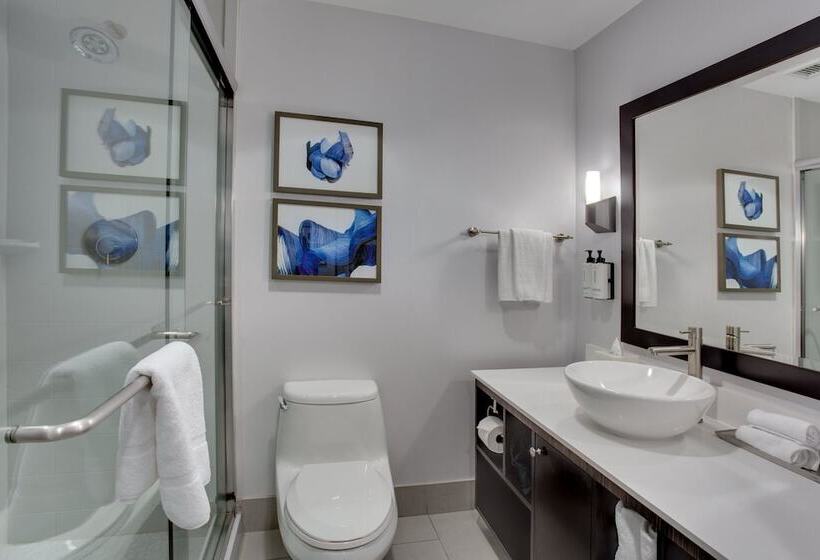 スタンダードルーム, Crowne Plaza Hotel & Resorts Fort Lauderdale Airport/ Cruise, An Ihg