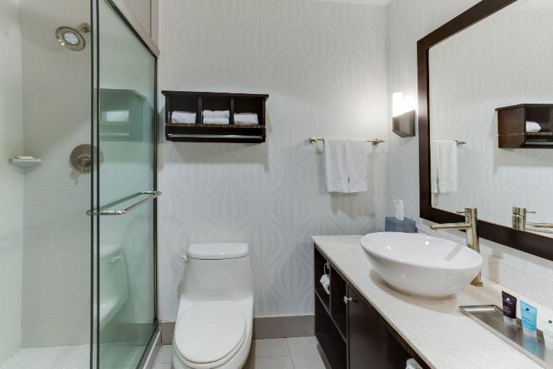 スタンダードルーム, Crowne Plaza Hotel & Resorts Fort Lauderdale Airport/ Cruise, An Ihg
