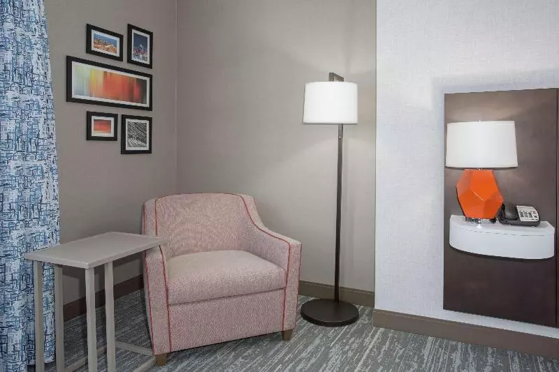 キングサイズベッドのスタンダードルーム, Hampton Inn & Suites Denverdowntown