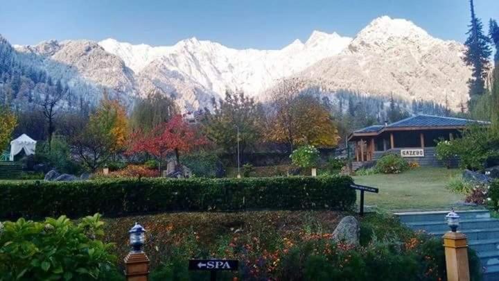 اتاق سوپریور, Solang Valley Resort