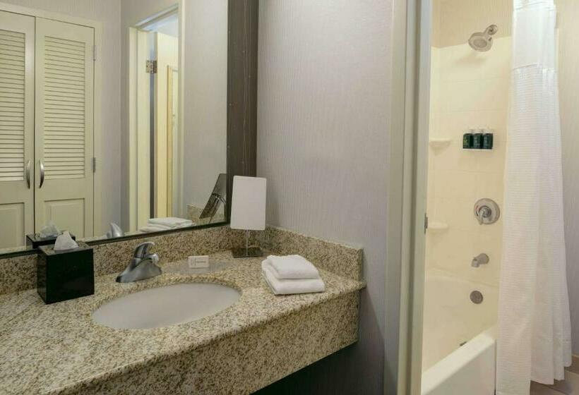 חדר סטנדרט עם מיטת קינג, Sonesta Select Kansas City South Overland Park