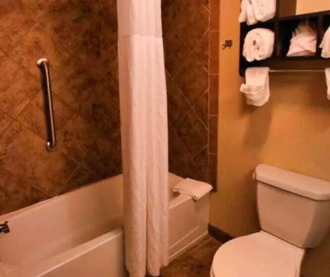 ダブルベッドのスタンダードスタジオ, Hampton Inn & Suites Jacksonville Beach Blvd/mayo Clinic