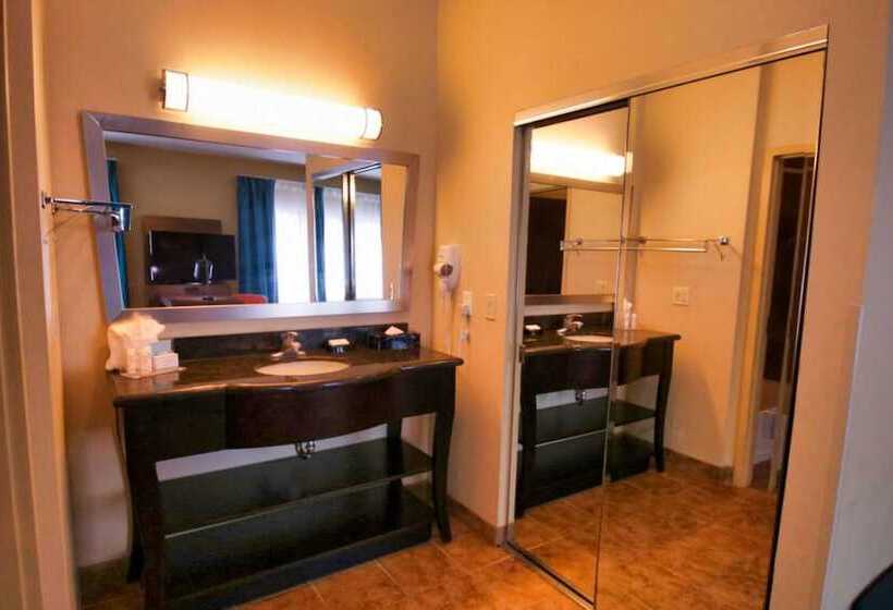 Студия Стандарт Двуспальная Кровать, Hampton Inn & Suites Jacksonville   Beach Blvd/mayo Clinic