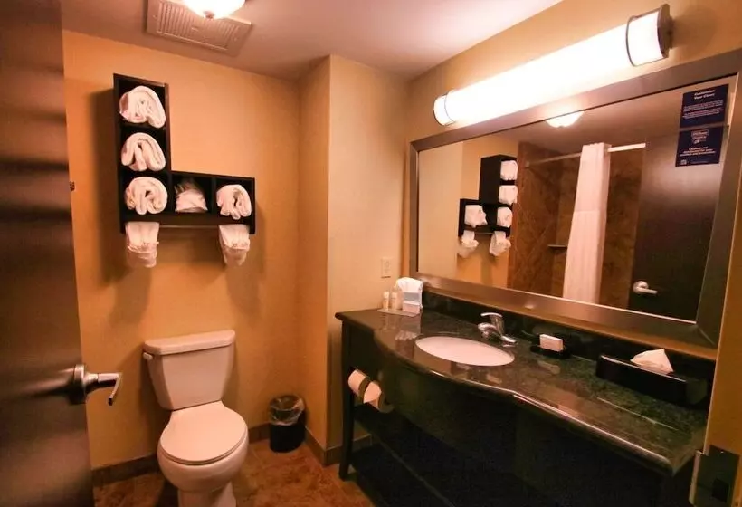 ダブルベッドのスタンダードスタジオ, Hampton Inn & Suites Jacksonville Beach Blvd/mayo Clinic