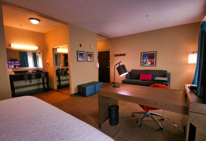 Студия Стандарт Двуспальная Кровать, Hampton Inn & Suites Jacksonville   Beach Blvd/mayo Clinic