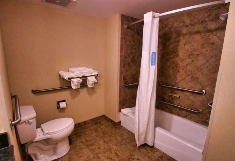 Студия Стандарт Двуспальная Кровать, Hampton Inn & Suites Jacksonville   Beach Blvd/mayo Clinic