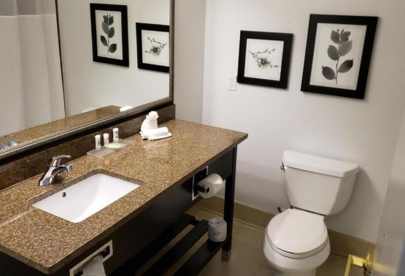 キングサイズベッドのスイートルーム, Country Inn & Suites By Radisson, Bradenton Lakewood Ranch, Fl