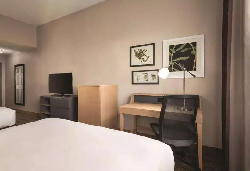身障者適用スタンダードルーム, Country Inn & Suites By Radisson, Bradenton Lakewood Ranch, Fl