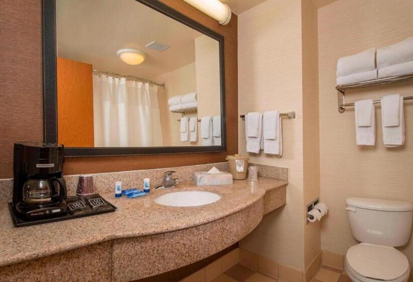 Номер Стандарт Кровать Кинг Адаптированный для Инвалидов, Fairfield Inn & Suites By Marriott Williamsburg
