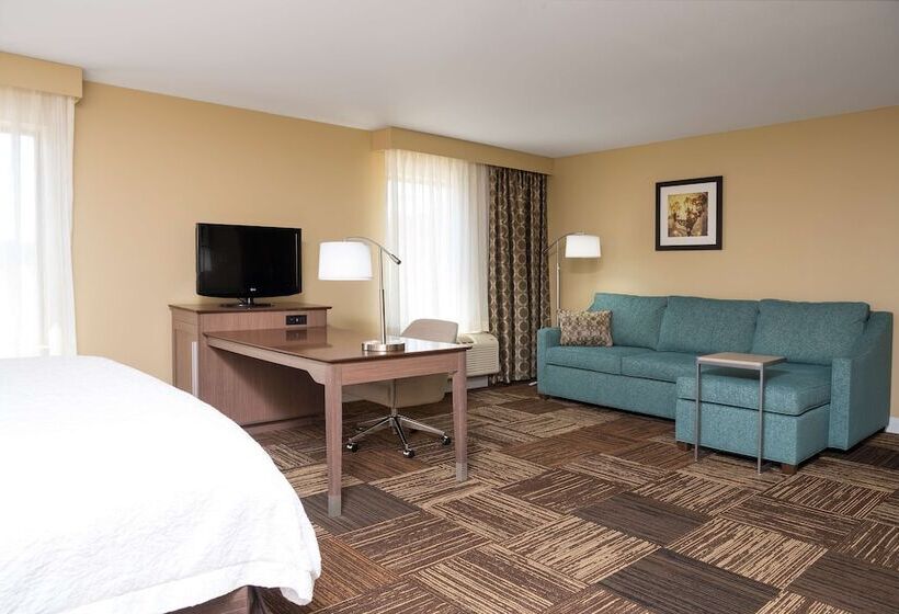 إستوديو قياسى سرير مزدوج, Hampton Inn & Suites Mansfield South @ I 71