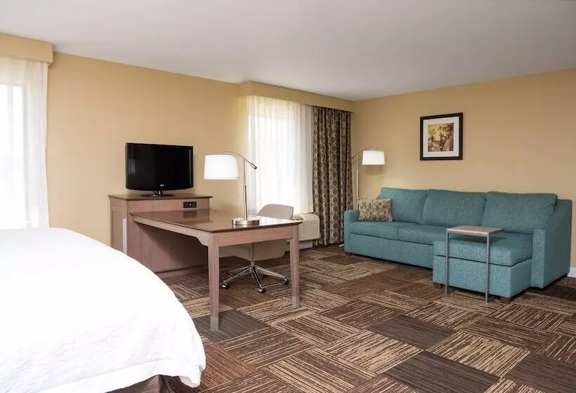 ダブルベッドのスタンダードスタジオ, Hampton Inn & Suites Mansfield South @ I 71