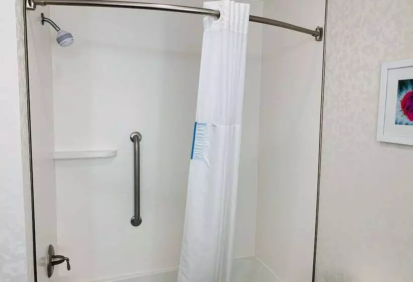 スタンダードルーム, Hampton Inn Fort Stockton