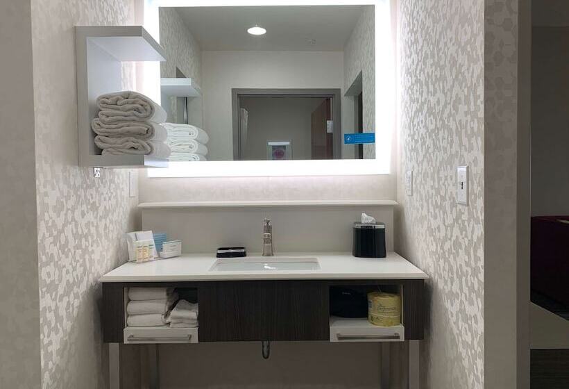 Люкс, Hampton Inn Fort Stockton