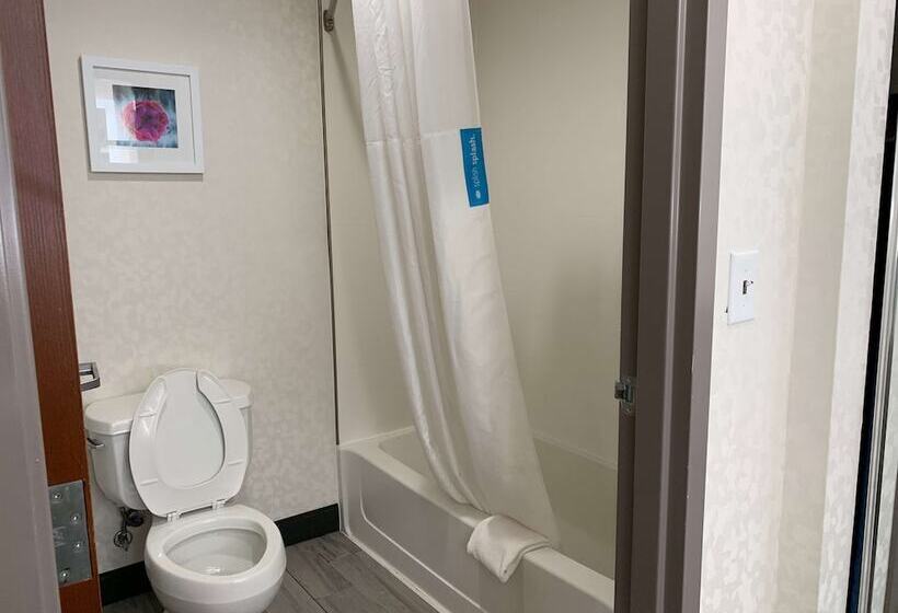 套房, Hampton Inn Fort Stockton