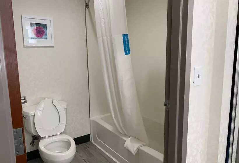 スイート, Hampton Inn Fort Stockton