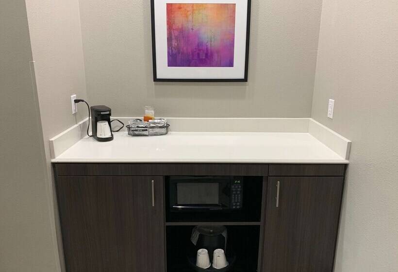 套房, Hampton Inn Fort Stockton