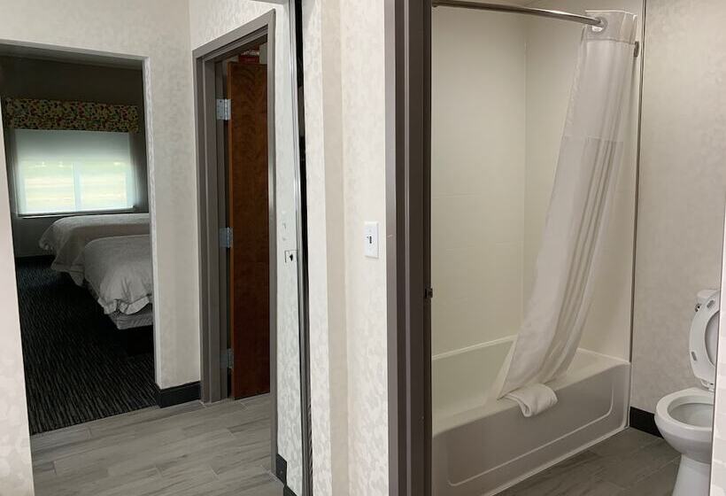 Люкс, Hampton Inn Fort Stockton