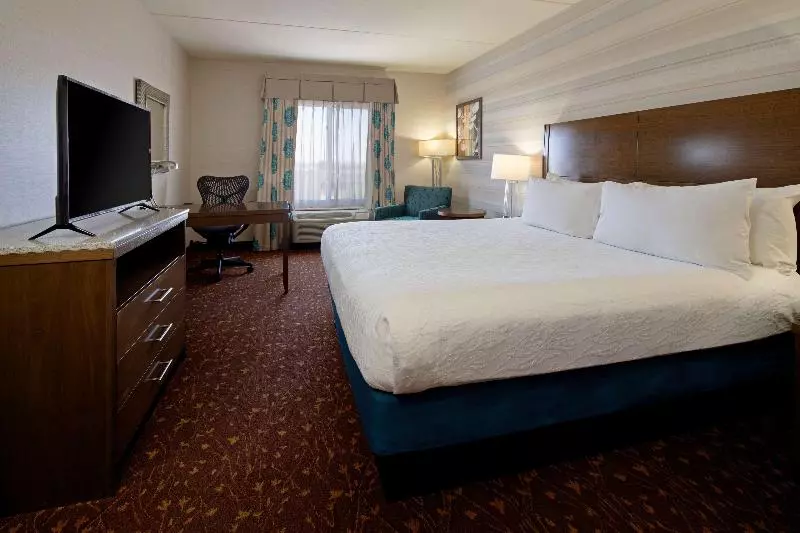 اتاق استاندارد با تخت بزرگ, Hilton Garden Inn Albuquerque Airport